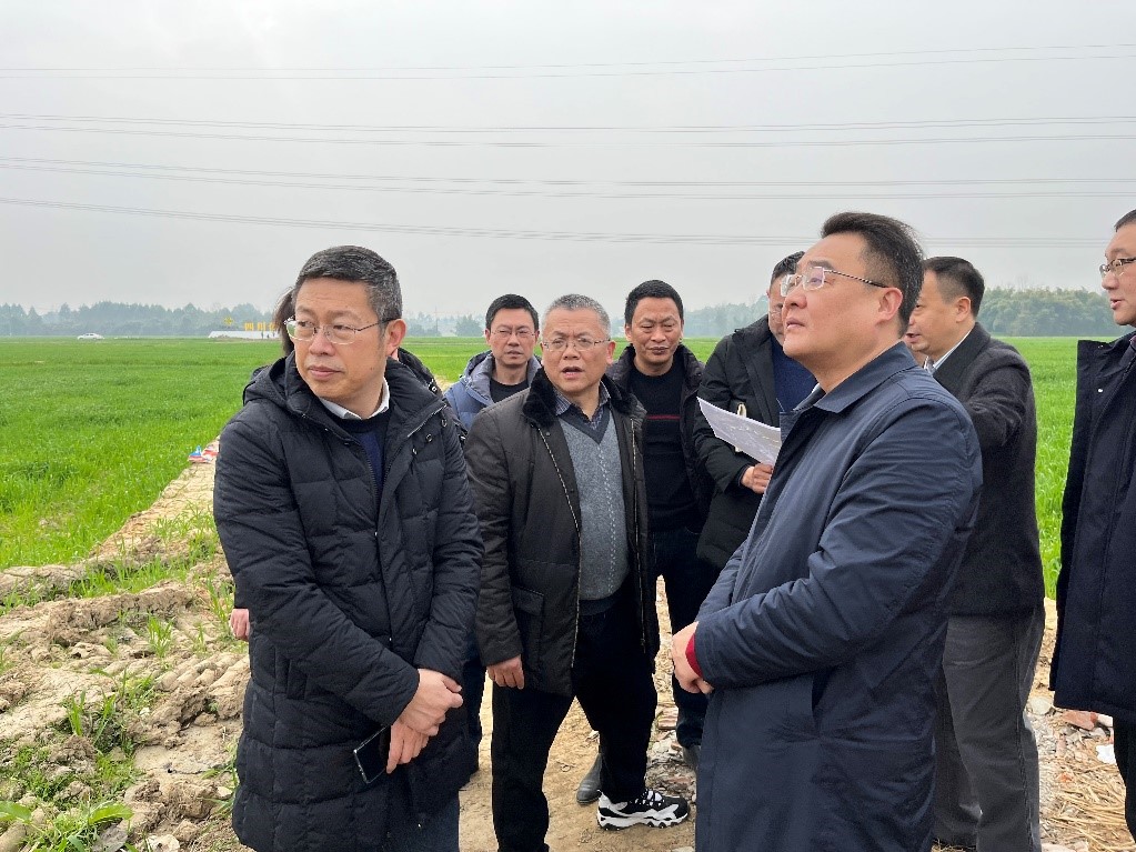 省社、省供投集團(tuán)領(lǐng)導(dǎo)調(diào)研青白江區(qū)四川現(xiàn)代供銷種業(yè)園區(qū)
