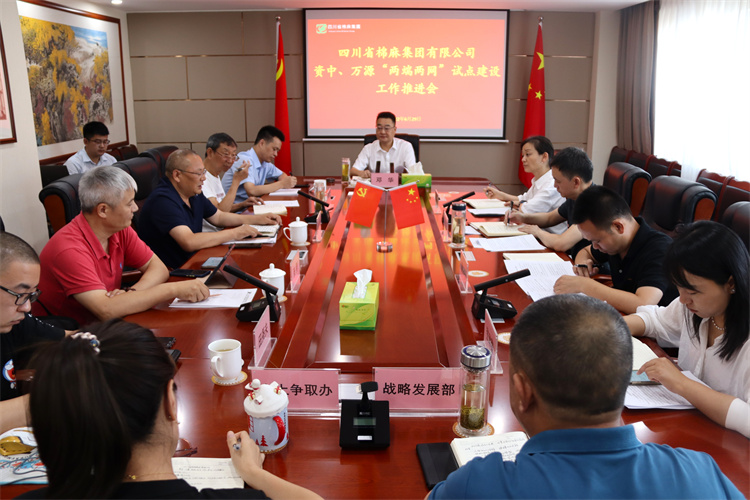 鄧華主持召開資中、萬源“兩端兩網”試點建設工作推進會