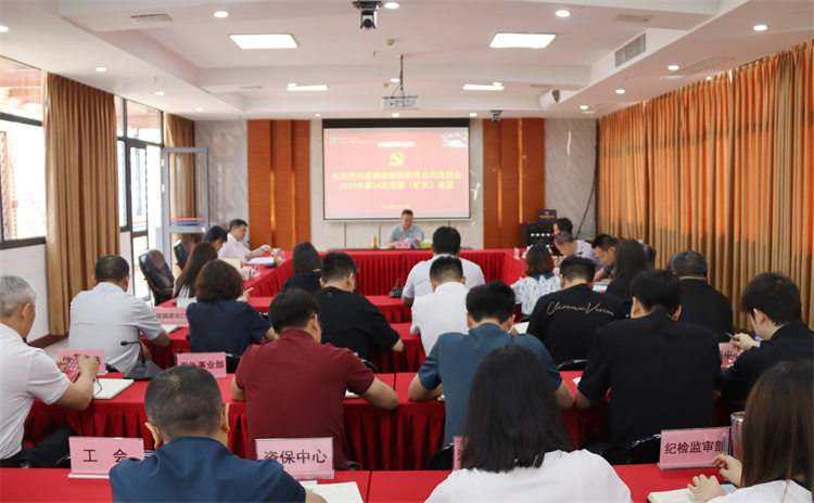 集團(tuán)公司召開2023年第14次黨委（擴大）會議