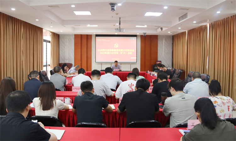 集團(tuán)公司召開2023年第21次黨委（擴大）會議