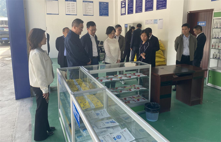 四川省供銷社黨組成員、理事會副主任、一級巡視員楊武秀帶隊到萬源調(diào)研集團舊院黑雞產(chǎn)業(yè)發(fā)展工作