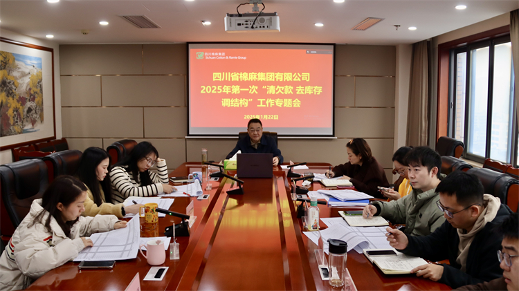 集團公司召開2025年第一次“清欠款、去庫存、調(diào)結(jié)構(gòu)”工作專題會